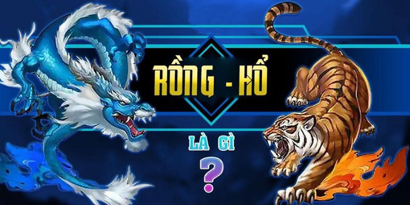 Lý do nên chọn 789club để chơi rồng hổ